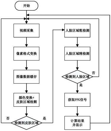 一种基于视频图像的非接触式生命体征检测系统及方法