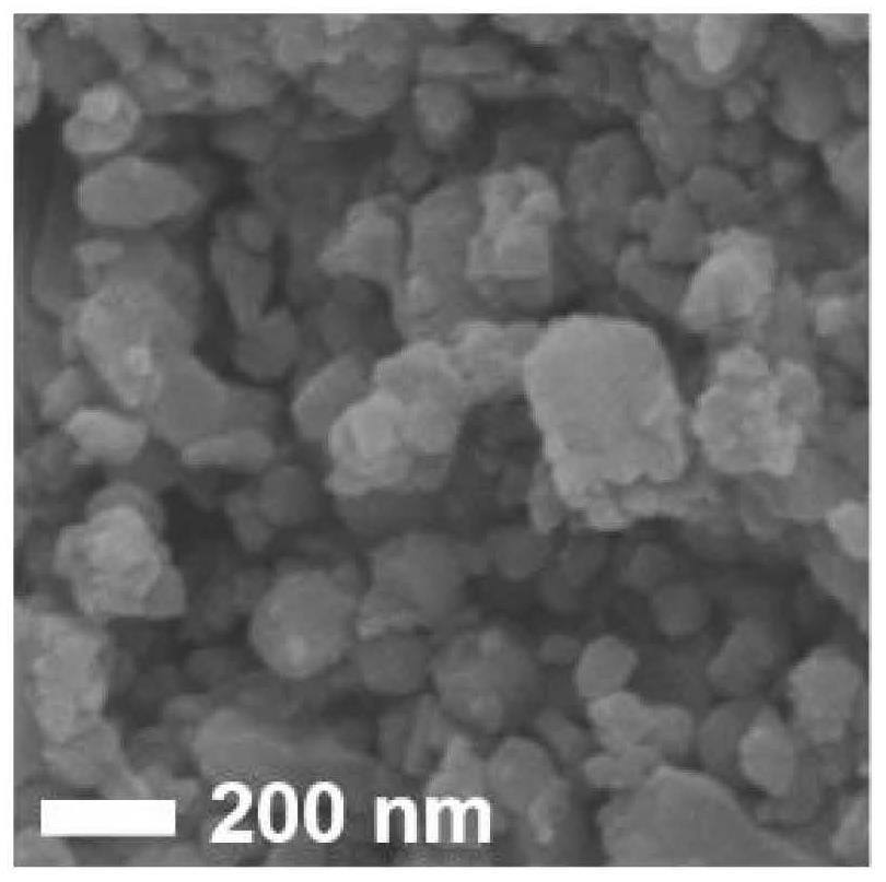 一种二硫化钼纳米粒子及其制备方法和应用