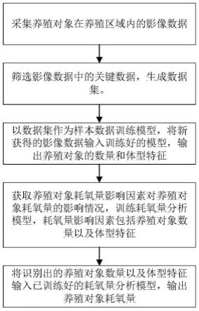 基于计算机视觉识别的养殖对象耗氧量估算方法及系统与流程