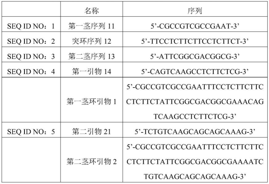 一种引物组合物及其核酸扩增检测方法与应用与流程