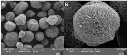 复合明胶冷冻凝胶细胞3D培养微载体及其大体积制备方法与流程