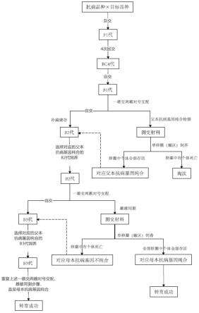 一种家蚕抗血液型脓病品种选育方法