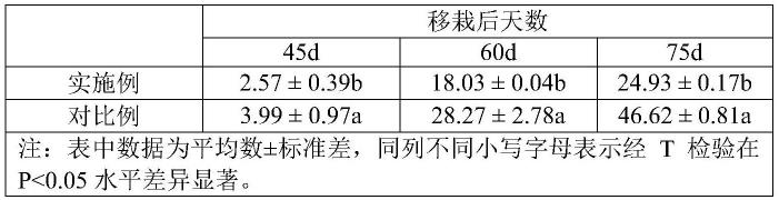 一种降低烟草黑胫病发病率的烟草间作轮作种植方法与流程