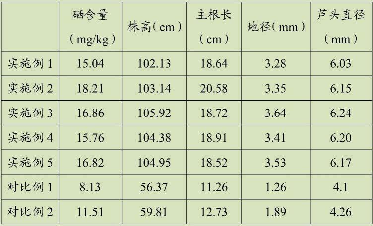 一种富硒黄芪培育的微生物复合菌肥及黄芪的培育方法