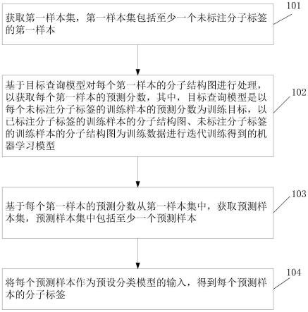 一种预测分子标签的方法以及相关装置与流程