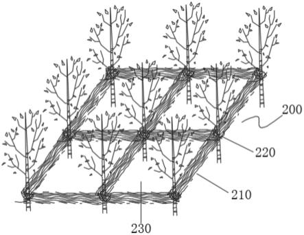 枝桠种植床结构的制作方法