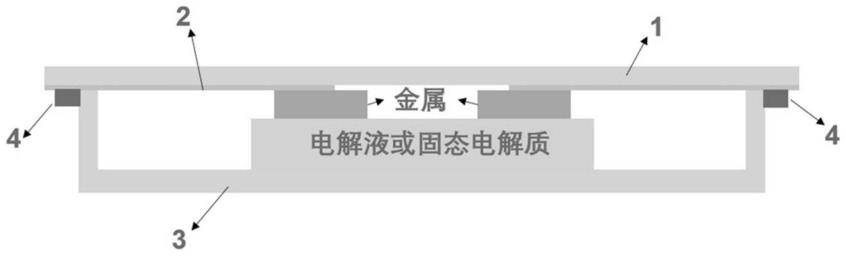 一种金属枝晶原位观察装置及其使用方法