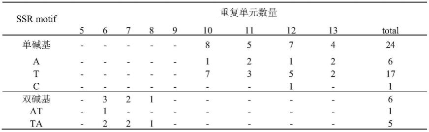 一种大叶金腰SSR分子标记引物组合及应用