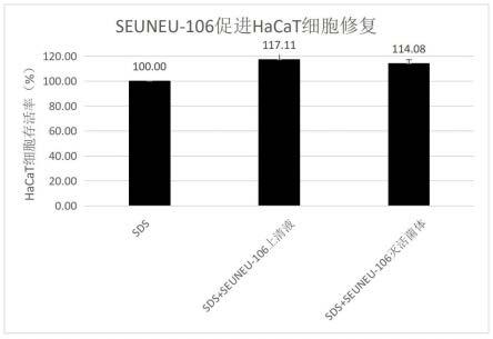 一种乳酸片球菌SEUNEU-106及其在皮肤方面的应用的制作方法