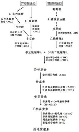 一种美迪紫檀素的生物合成方法