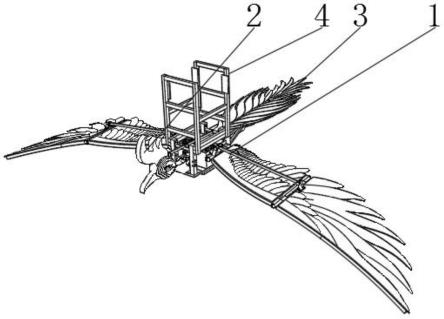 一种模拟鸟类飞行姿态的扑翼装置的制作方法