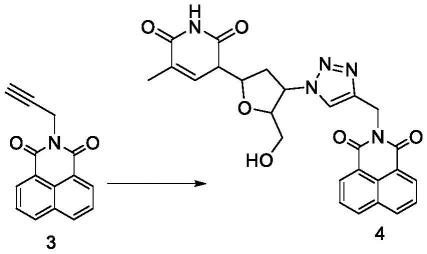 一种1,8-萘二甲酰亚胺衍生物的合成及生物活性研究