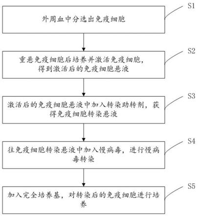 一种慢病毒转染助转剂及其应用的制作方法