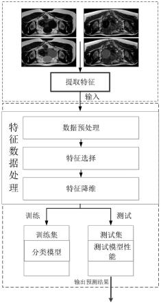 基于机器学习算法预测HIFU消融子宫肌瘤疗效的方法