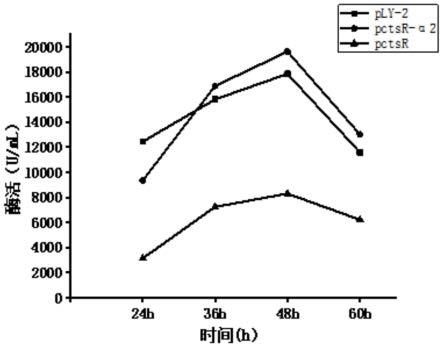 一种组合启动子pctsR-α2及其应用的制作方法