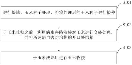 一种甜糯玉米病虫害防治方法及甜糯玉米绿色种植方法