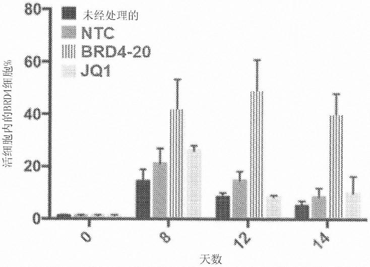 用于免疫治疗的靶向含布罗莫结构域之蛋白4(BRD4)的经化学修饰的寡核苷酸的制作方法