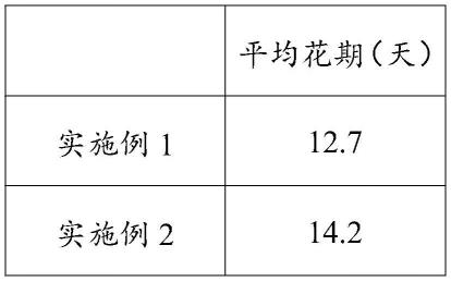 一种芍药鲜切花保鲜剂及其制备方法