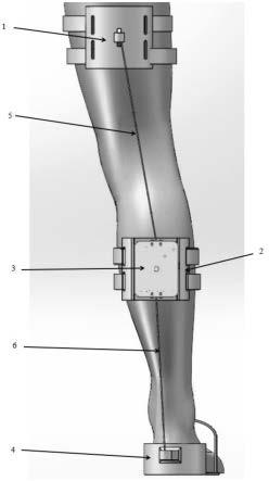 一种基于能量跨关节转移的下肢纯被动外骨骼装置