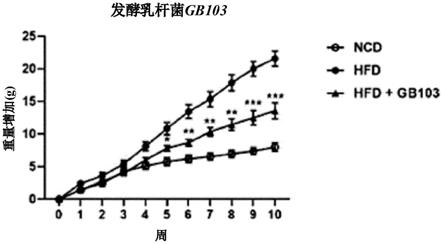 发酵乳杆菌菌株及含有其的用于预防或治疗代谢疾病的组合物的制作方法