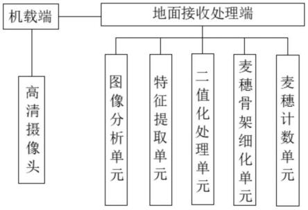 基于无人机和图像处理的小麦产量预测用麦穗计数系统