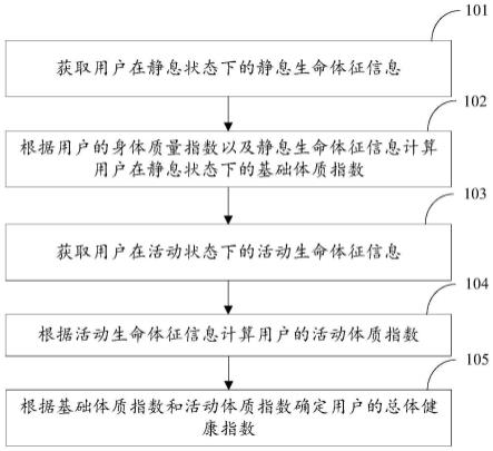 体质水平估计方法、装置、可穿戴设备及存储介质与流程