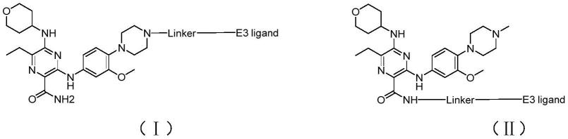 一种靶向降解FLT3-ITD突变蛋白的PROTAC类化合物及其制备方法与应用