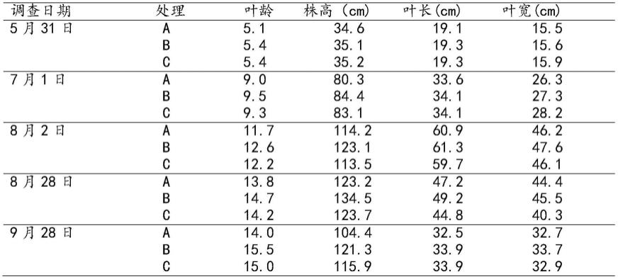 一种多子芋基施专用有机肥的制备及使用方法