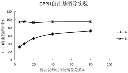 一种槐花发酵组合物、制备方法、应用与流程