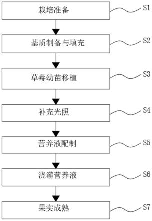 草莓无土栽培方法与流程