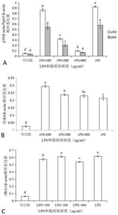 一种乳脂质体的构建及其在巨噬细胞免疫活性调节中的应用的制作方法