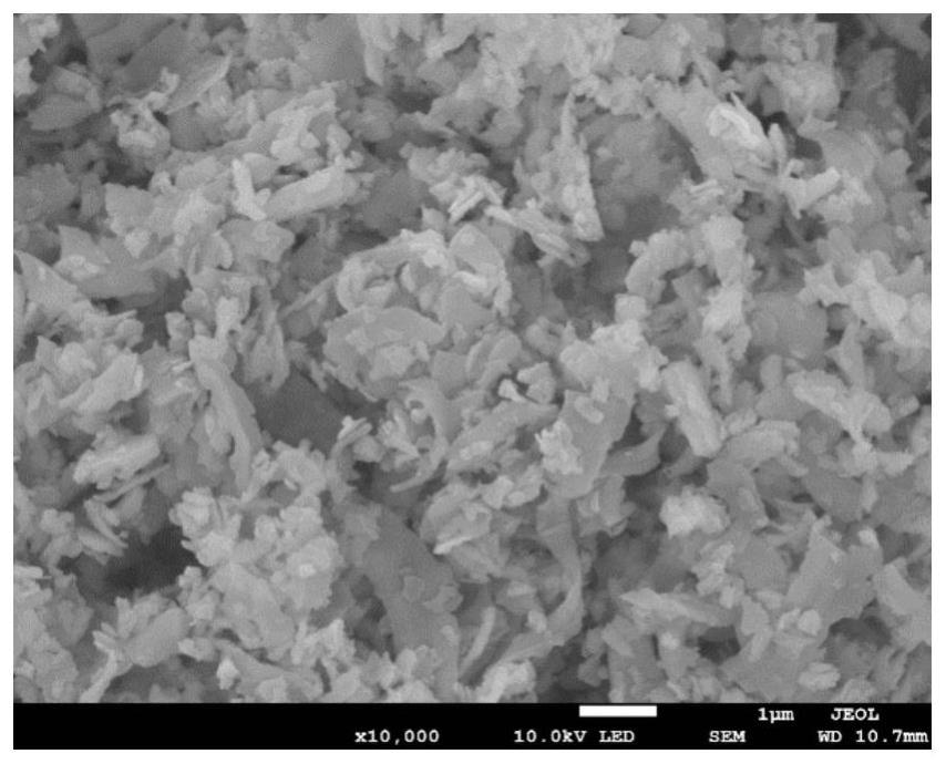 一种利用切割废硅粉快速制备硅纳米线的方法及应用