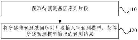 一种基因表达预测方法及装置