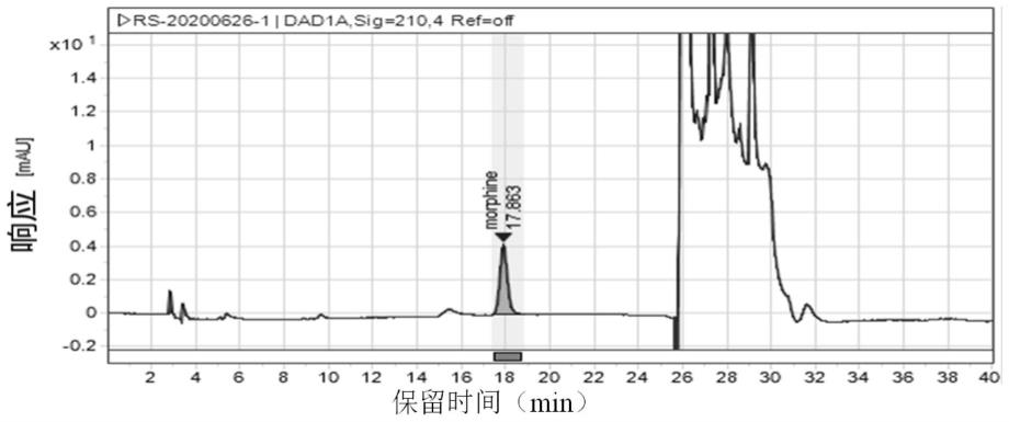 一种中药制剂中罂粟壳成分的质量控制方法与流程