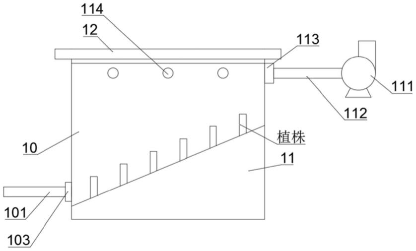 紫米育种用抗倒伏筛选模拟装置的制作方法