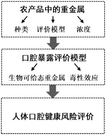 一种农产品重金属口腔健康风险的评估方法