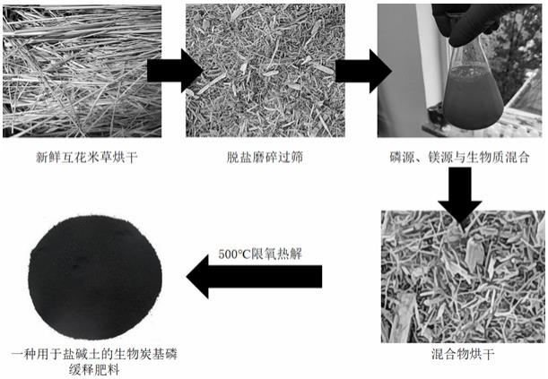 一种用于盐碱土的生物炭基磷缓释肥料