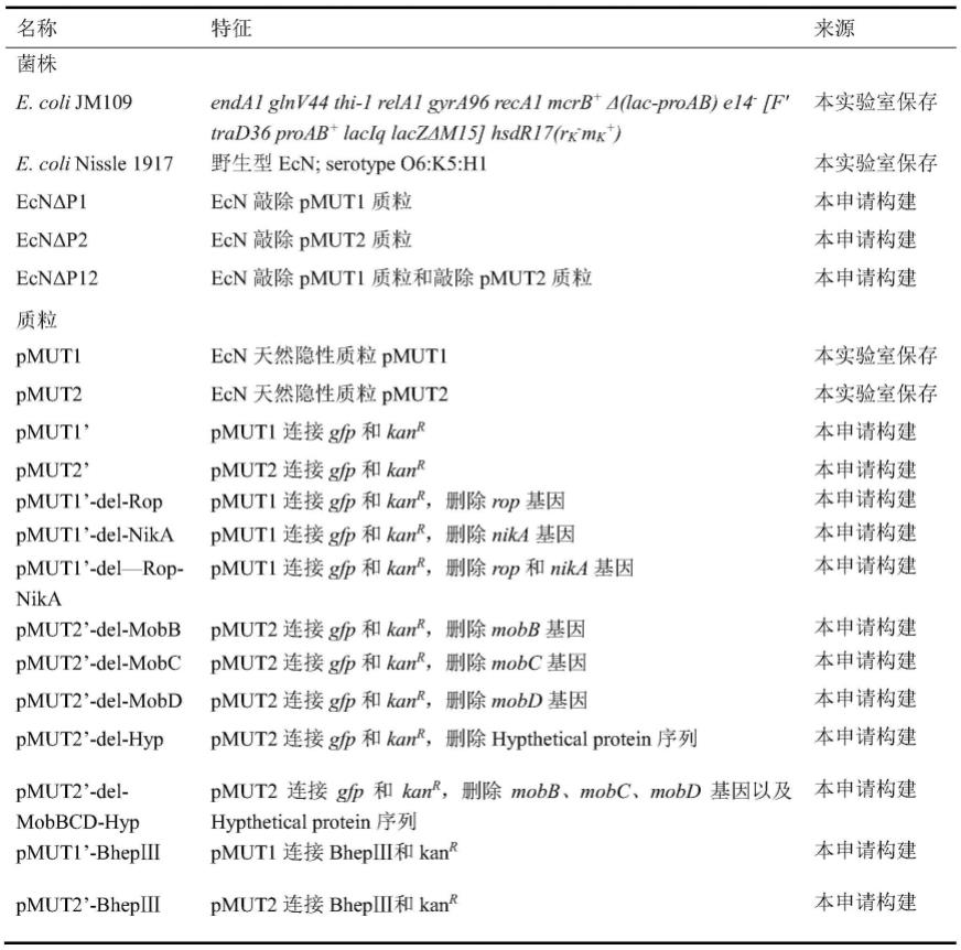 一种大肠杆菌益生菌EcN无抗生素高效稳定表达体系构建与应用