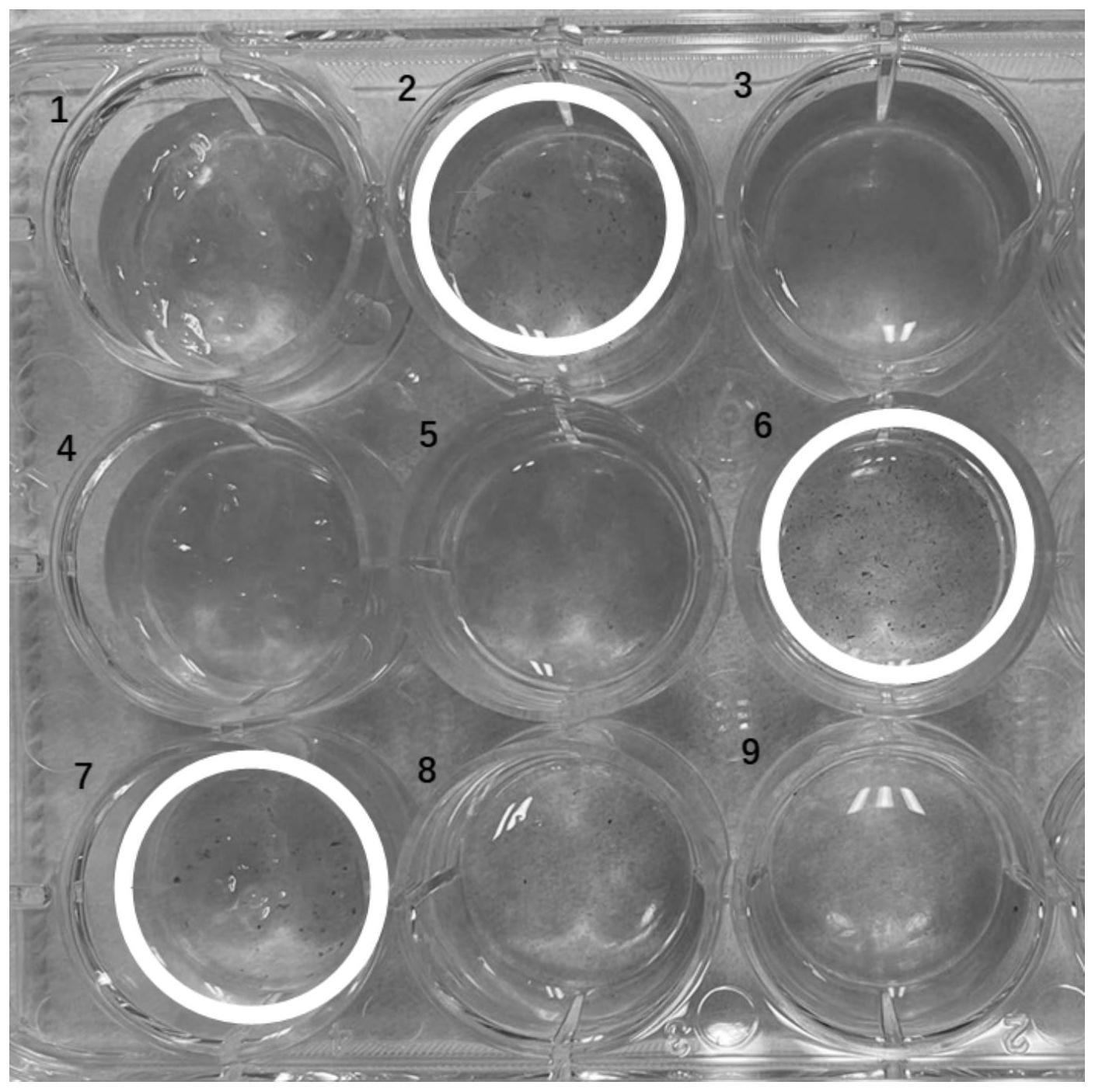 一种细菌水解酶响应型水凝胶抗菌敷料及其制备方法