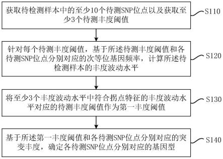 基因型检测方法、样本污染检测方法、装置、设备及介质与流程