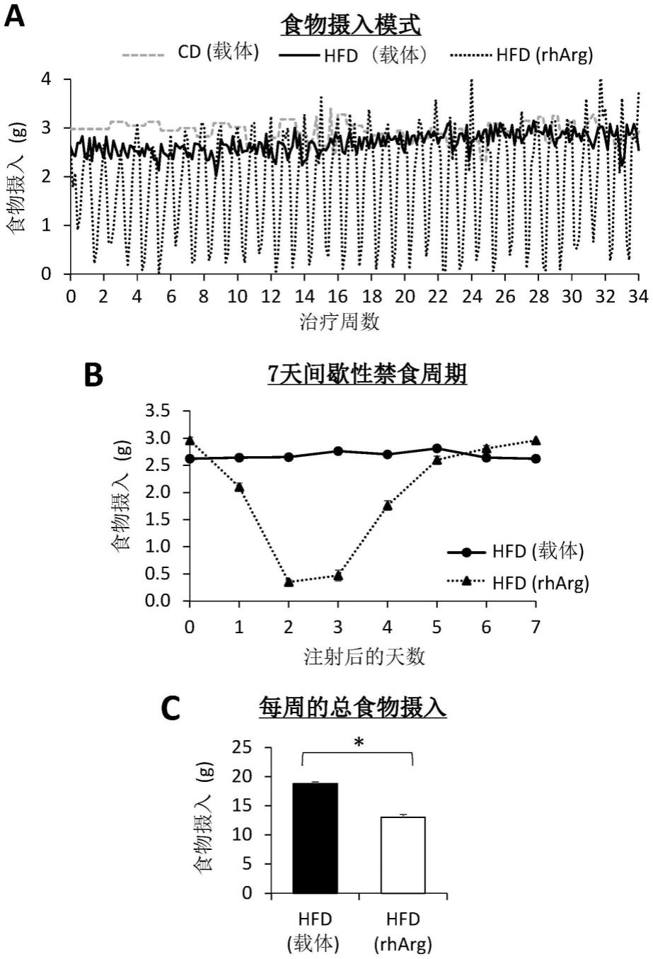 诱导间歇性禁食和调节自噬的方法