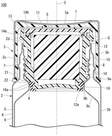 盖单元以及带盖容器的制作方法