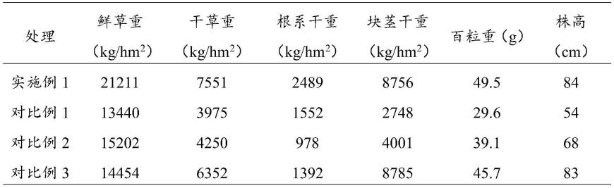 一种极端干旱风沙区油莎豆种植方法