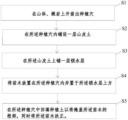 一种用于山体、裸岩栽植苗木的方法与流程