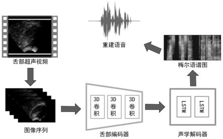 一种由舌部超声图像直接合成语音的方法与流程