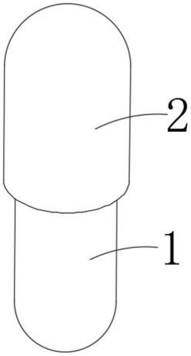 一种药物空心胶囊结构的制作方法