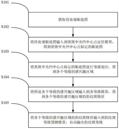 基于深度学习的豹纹斑自动分级方法、系统及设备与流程