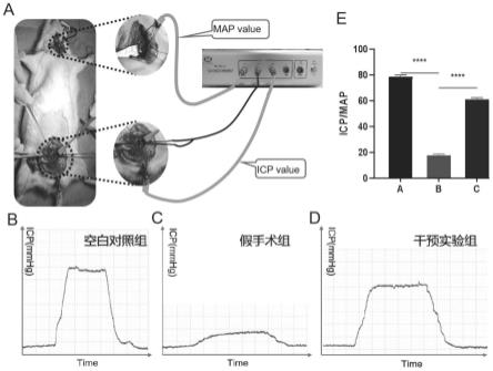 一种富含外泌体的水凝胶及其制备方法和应用