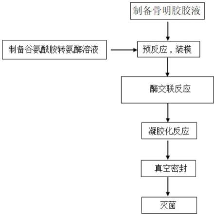 基于谷氨酰胺转氨酶与骨明胶的珍珠圆制品及其制备方法与流程