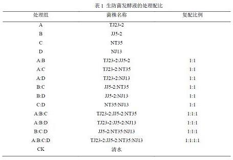 人参防病促生菌肥及其应用